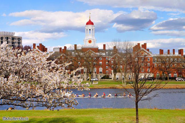 Université d'Harvard à Boston